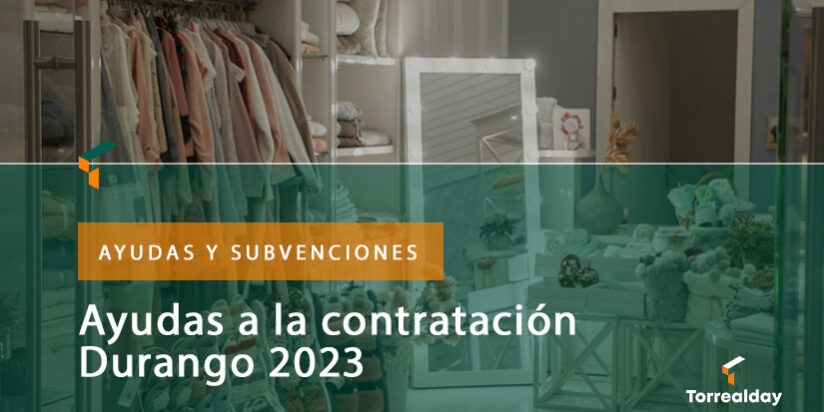 ayudas contratación Durango