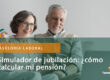 Simulador de jubilación. Servicios de asesoramiento laboral.