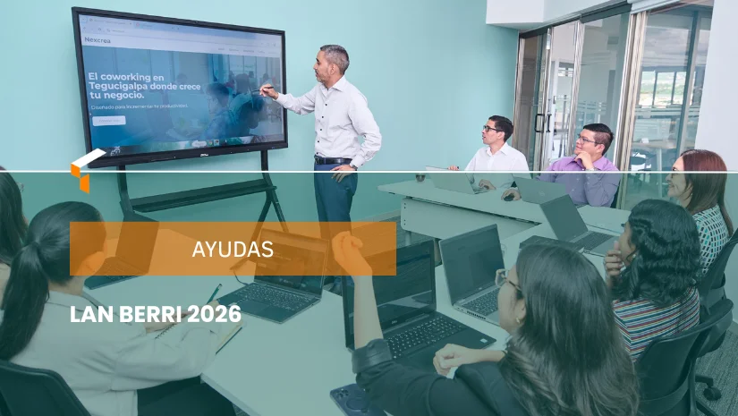 Ayudas lan berri 2026