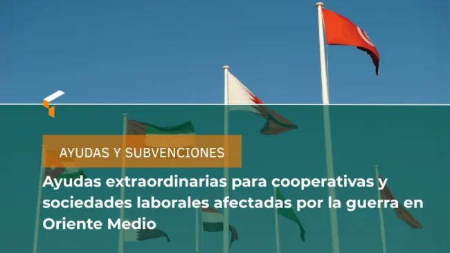 ayudas y subvenciones gobierno