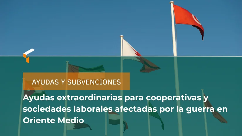 ayudas y subvenciones gobierno